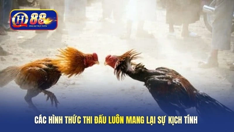Các hình thức thi đấu luôn mang lại sự kịch tính